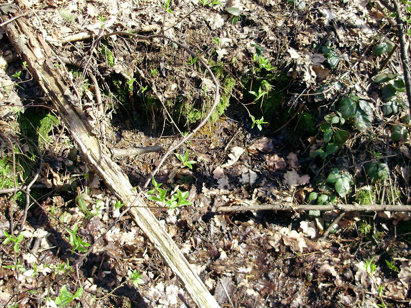 prameniště bez jména (2905) - duben 2010