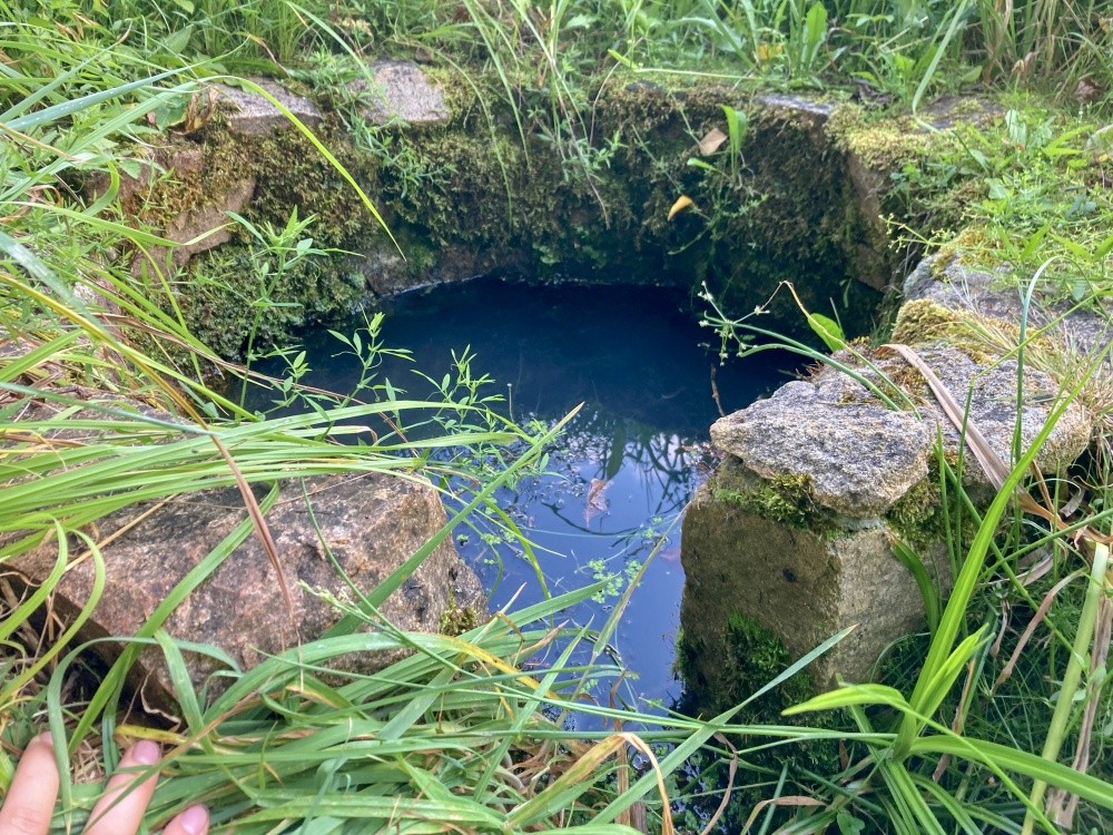 studánka bez jména (2914) - srpen 2024