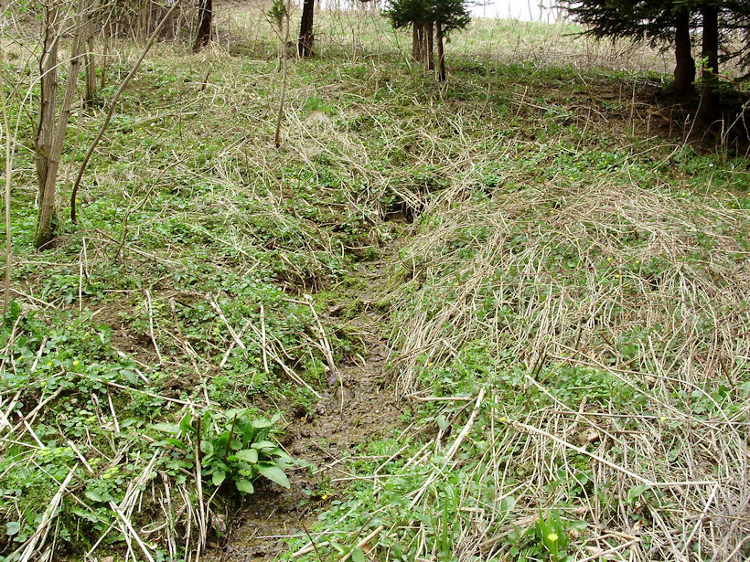 pramen V Trní (2931) - duben 2010