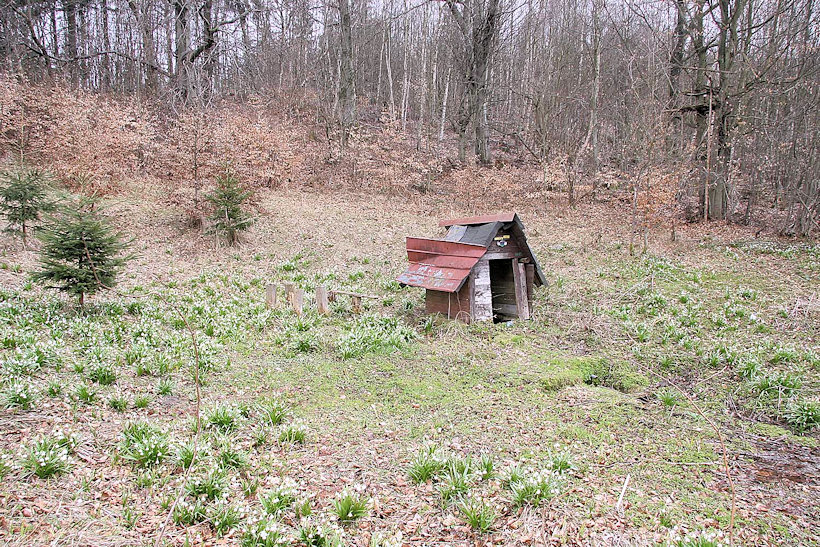 studánka Pod Pasekou (2937) - duben 2010