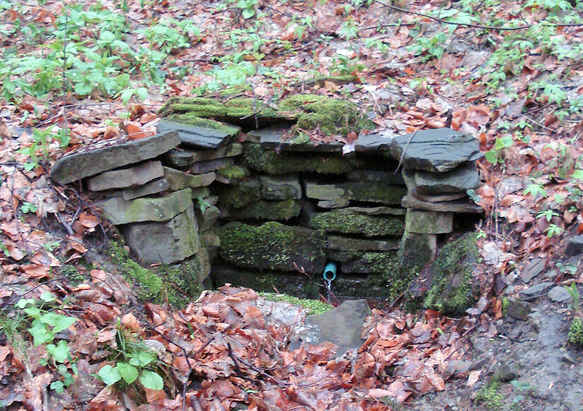 studánka Pod Kaluží (2956) - duben 2010
