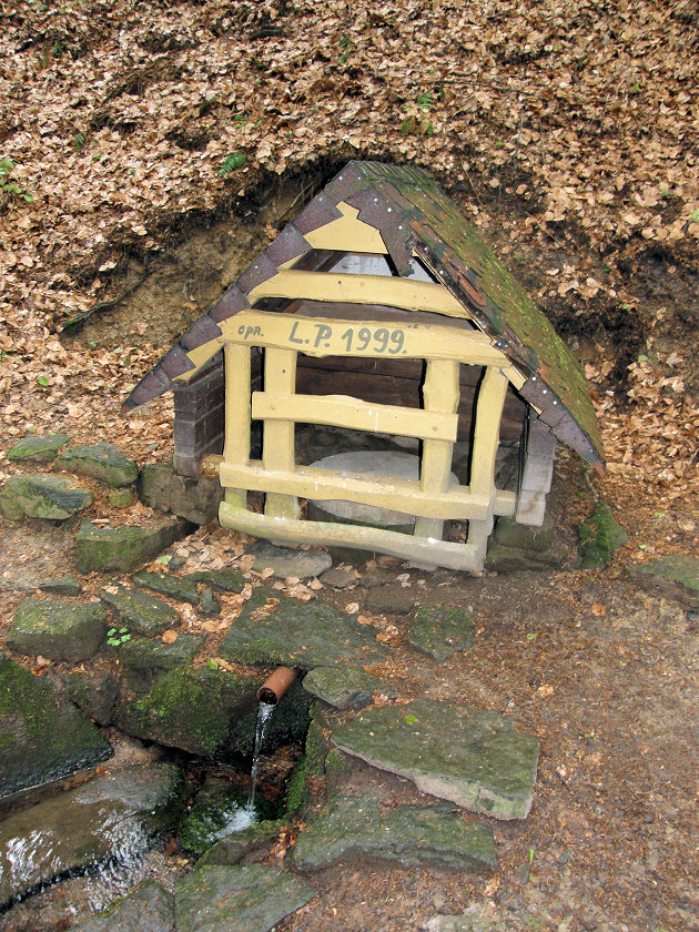 studánka Pod Bukovou horou (2958) - duben 2010