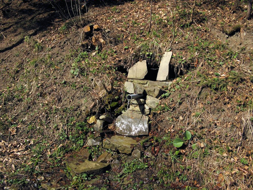 studánka Terčin pramen (2993) - duben 2010