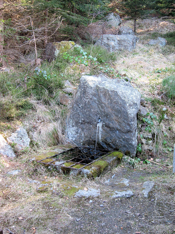 studánka Pod Dopplerem (3013) - duben 2010