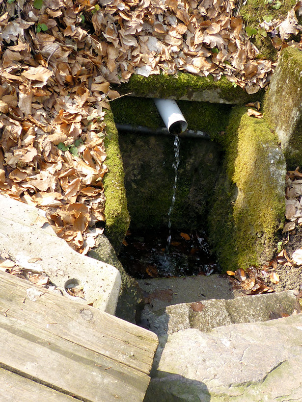 studánka U Indiána (3021) - duben 2010