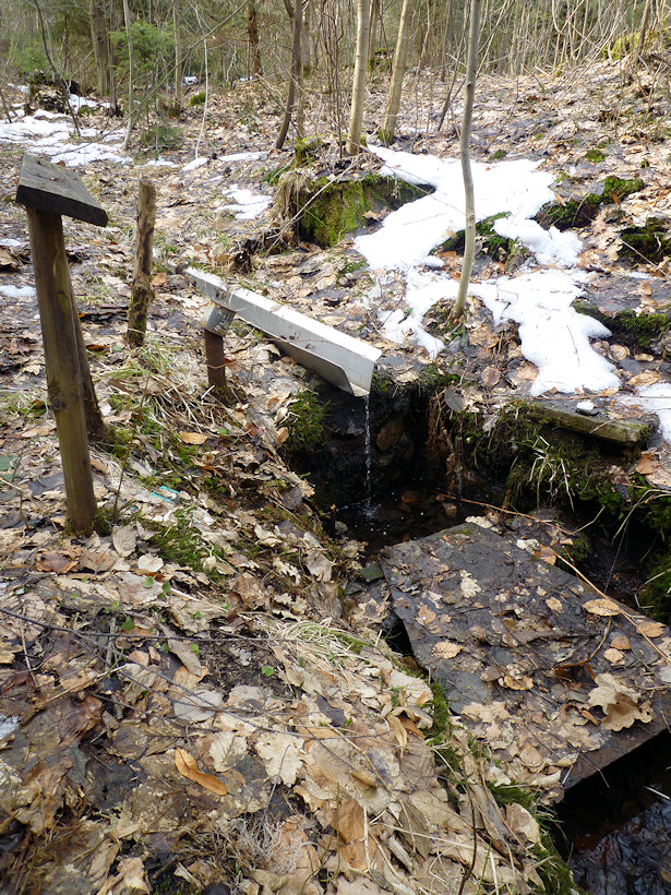 studánka V Peškově koutě (3027) - duben 2010