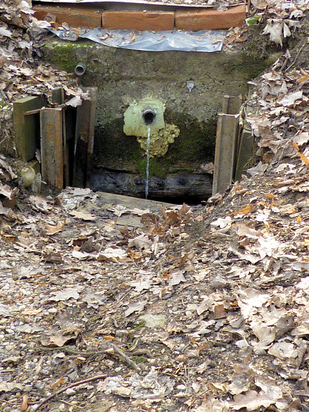 studánka U peřejí (3028) - duben 2010