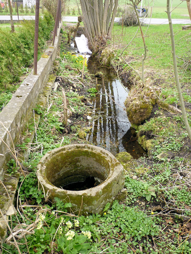 studánka U Semotánů (3064) - duben 2010