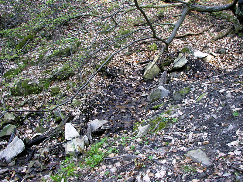 prameniště bez jména (3075) - duben 2010