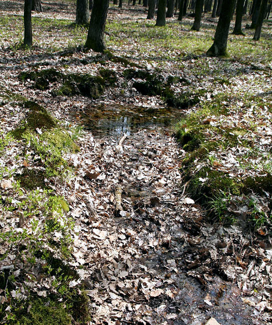 pramen U Králova stolce (3086) - duben 2010