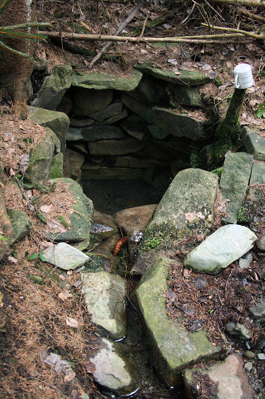 Studánka lesního muže 2 (3093) - duben 2010