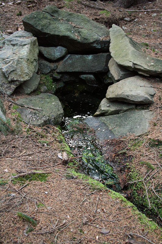 Studánka lesního muže 3 (3094) - duben 2010