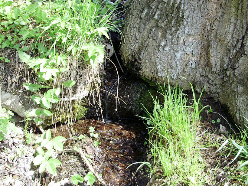 pramen Pod Klášterem (3095) - duben 2010