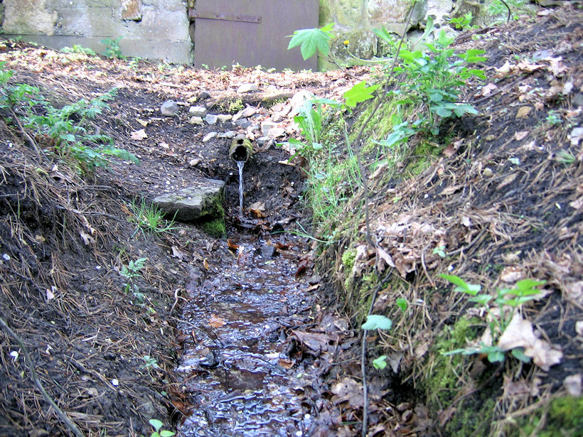 Studánka Hlínoviště (3119) - květen 2010
