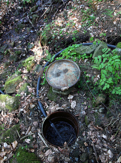 jiný vodní zdroj Pod Lomem (3120) - květen 2010