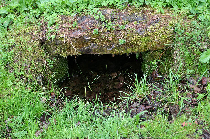 studánka Pod Rysovou (3134) - květen 2010
