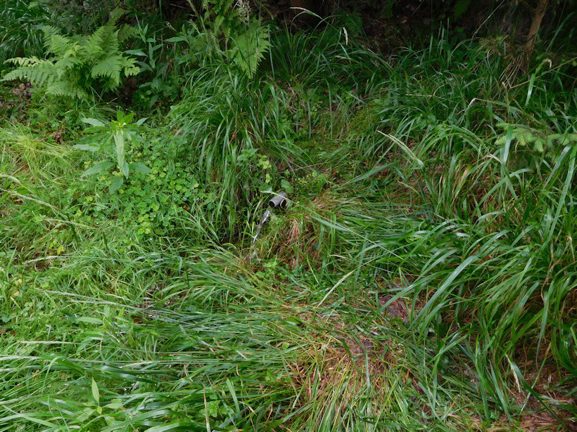studánka Myslivecký pramen II (3153) - červenec 2020