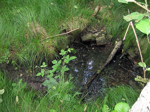 studánka bez jména (3159) - květen 2010