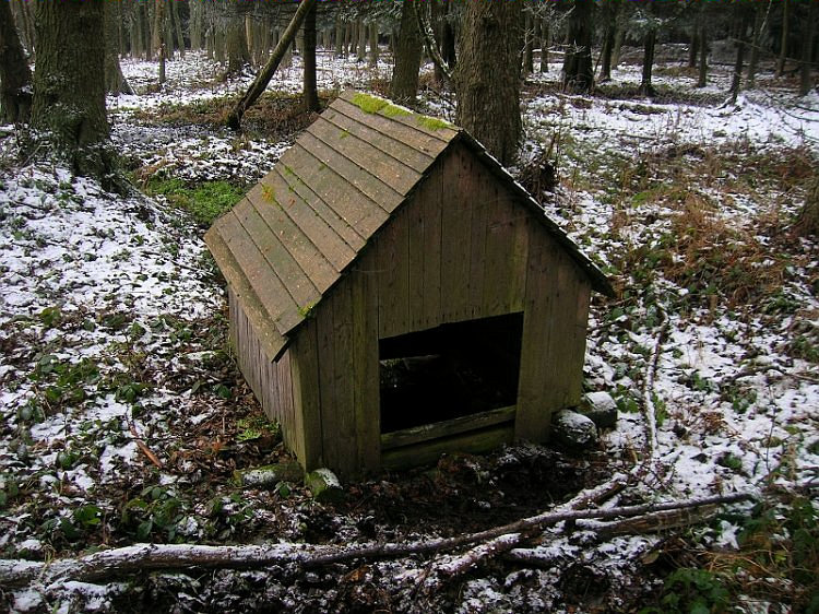 studánka Na Studánce (3172) - květen 2010