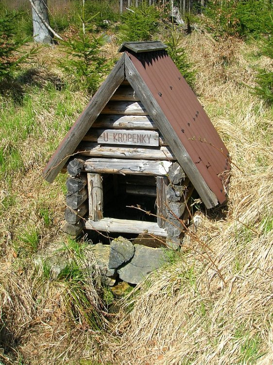 studánka U Kropenky (3177) - květen 2010