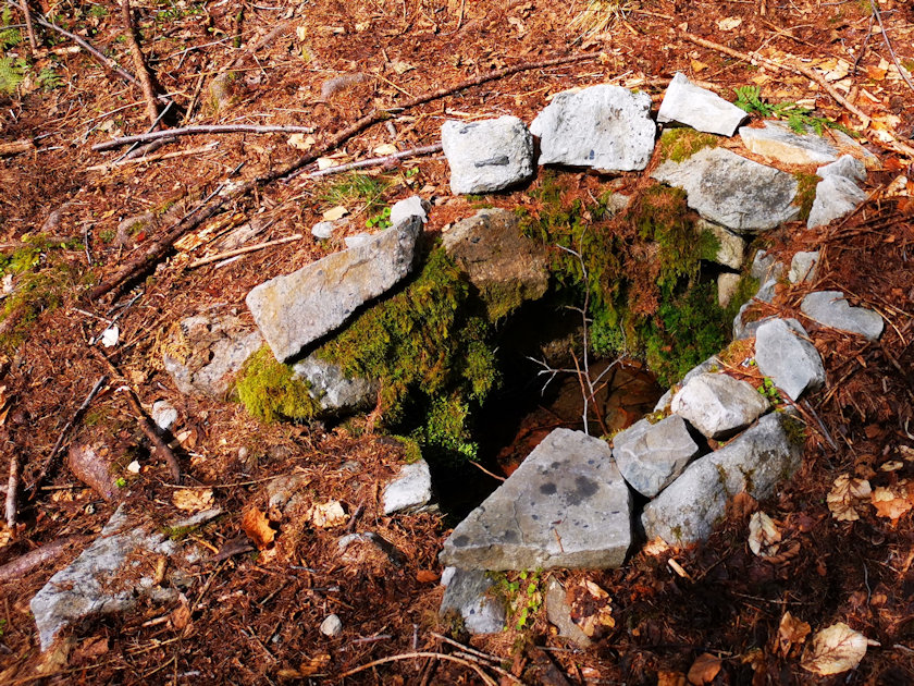 Partyzánská studánka (3178) - duben 2021
