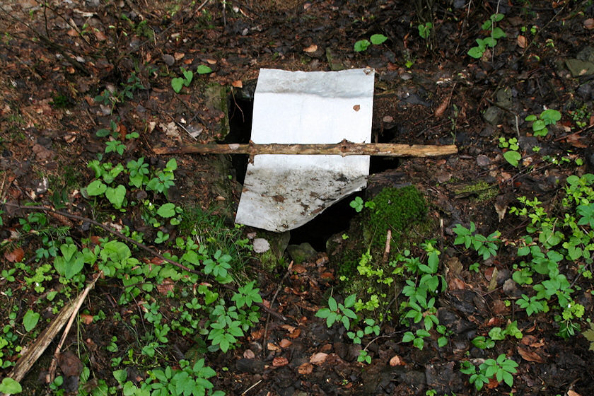 studánka U Malované chalupy (3186) - květen 2010