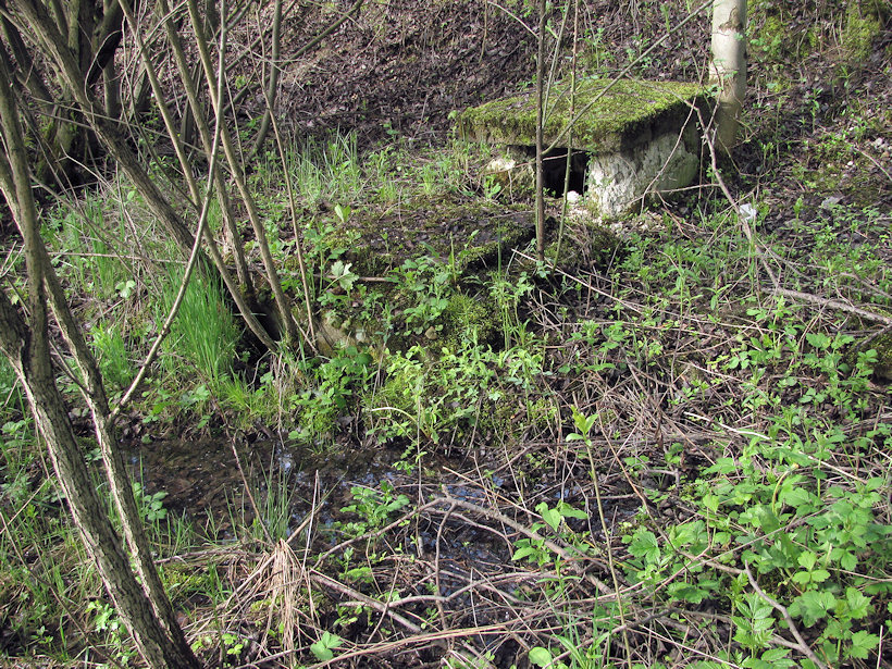 jiný vodní zdroj bez jména (3194) - květen 2010