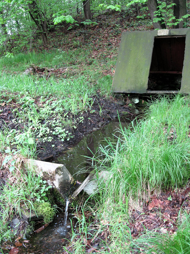 pramen Studánka na dole (3204) - květen 2010