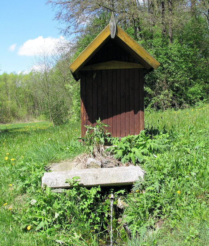 studánka U Hamerského mlýna (3217) - květen 2010