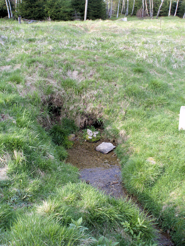 Gizelin pramen (3220) - květen 2010