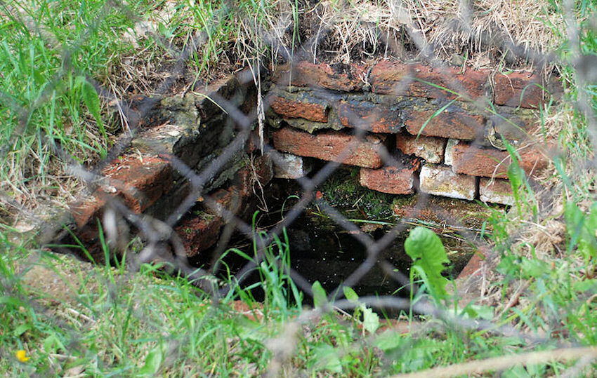 studánka V zahradě (3232) - květen 2010
