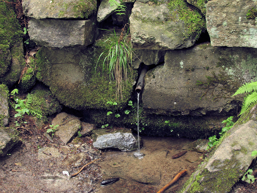 studánka Pod školou (3242) - květen 2010