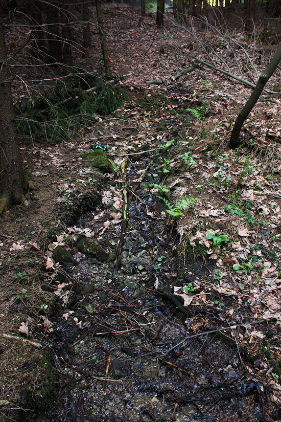 Pramen pod Lúčkama (3248) - květen 2010