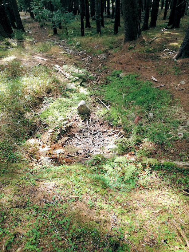 prameniště Nad Tisovou (3249) - datum neznámé