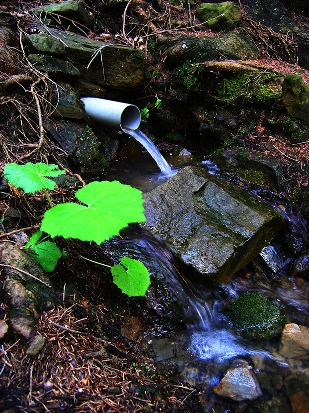 studánka U kadlubníčka (3263) - květen 2010