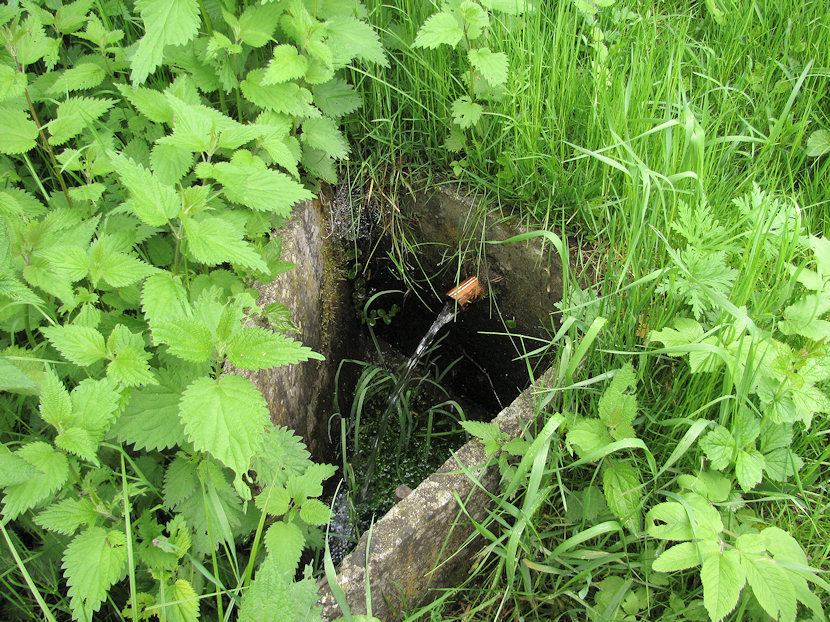 studánka Chatařská (3269) - květen 2010