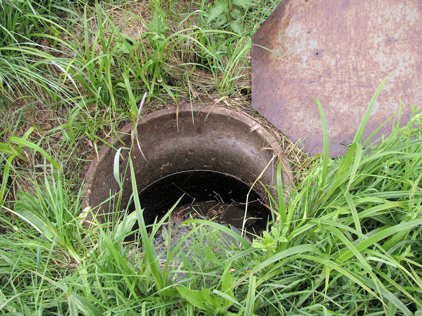 studánka bez jména (3270) - květen 2010