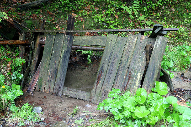 studánka Na Hákovském (3275) - květen 2010