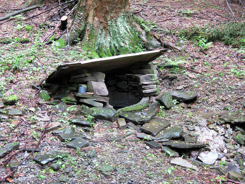 studánka U Šebestů (3289) - květen 2010