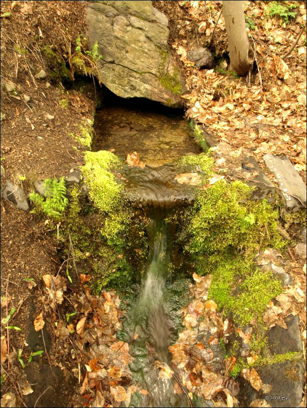 Dubyho pramen (3293) - květen 2010
