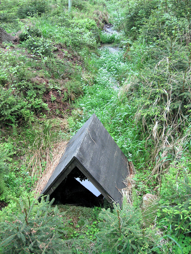 Studánka U Modrého obrazu (3297) - květen 2010