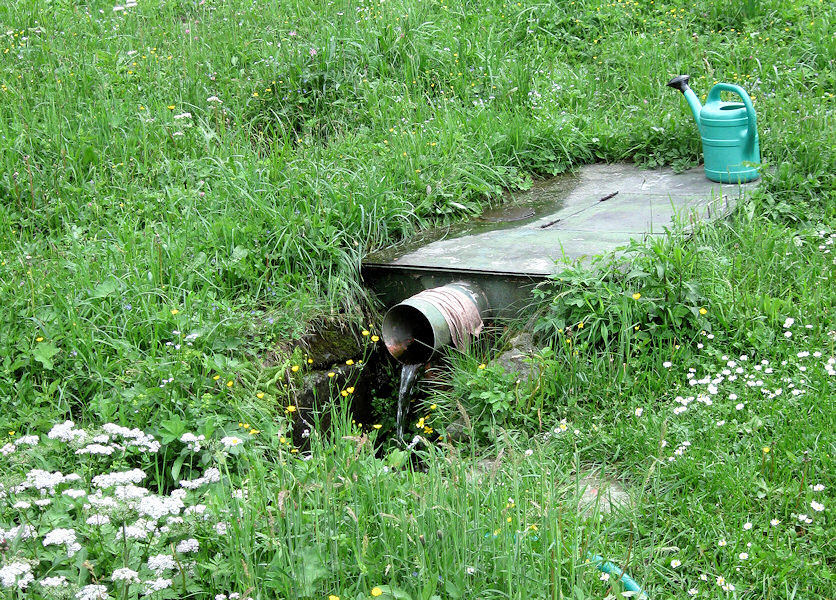 pramen Zadní Vysutý (3306) - květen 2010