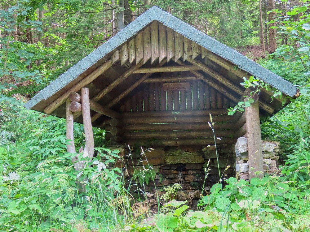 studánka Nad Mírem (3316) - červenec 2024