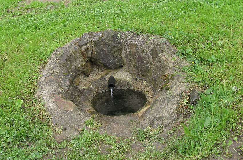 jiný vodní zdroj bez jména (3335) - květen 2010