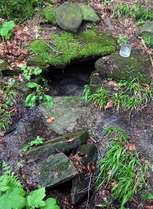 studánka U Charlotty (3344) - červen 2010
