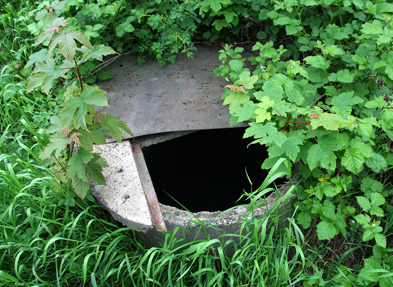 studna Pod Goldy (3354) - červen 2010