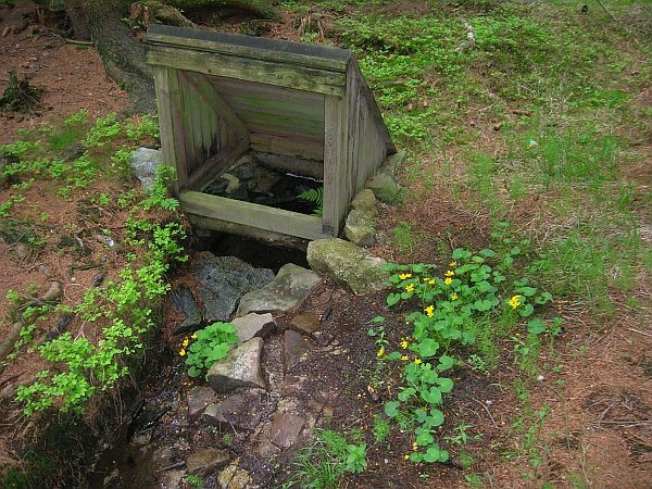 Studánka pod Černou Skálou (3378) - červen 2010