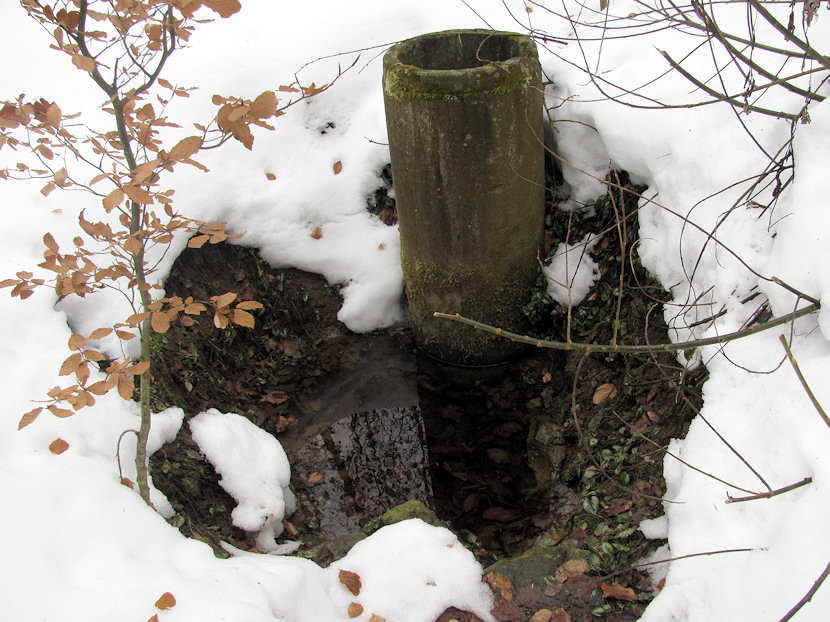 studánka Buková (3391) - červen 2010