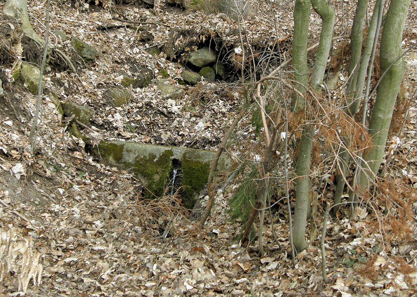 studánka bez jména (3392) - červen 2010