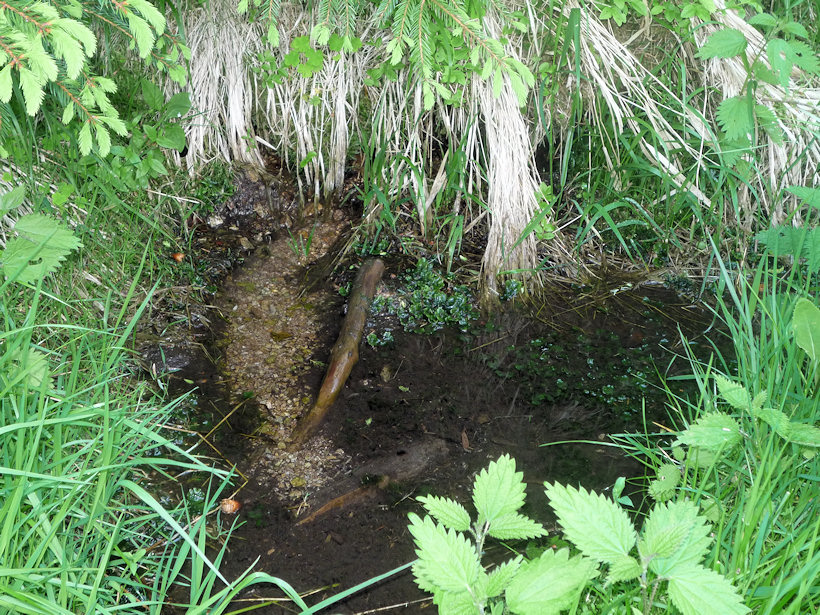 pramen Na sedmi nosech (3394) - červen 2010